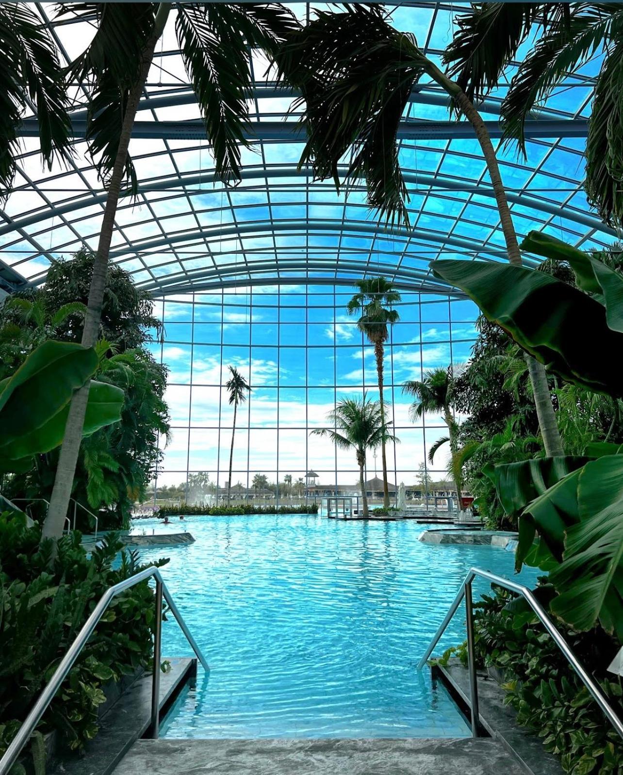 Mona Apartment Taxi#Airport #Parking#Bucharest#Therme Otopeni Eksteriør bilde